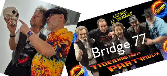 bridge 77 melins
